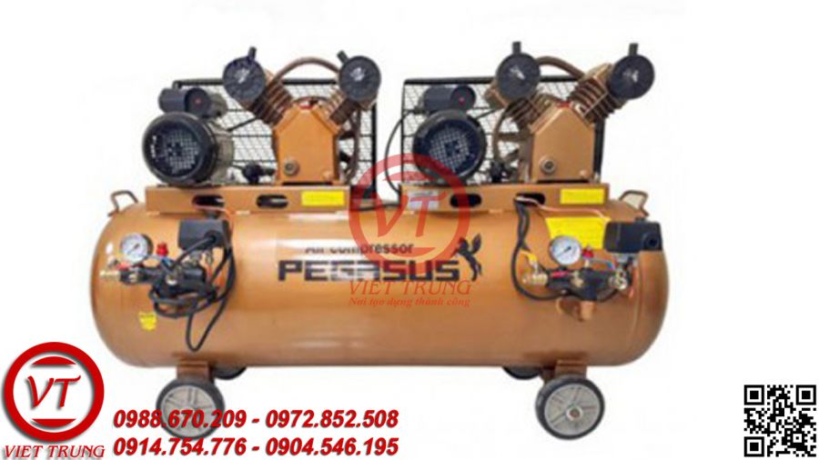 Máy nén khí dây đai PEGASUS TM-V-0.25/12.5x2-3HPx2-230L (VT-MNK109)