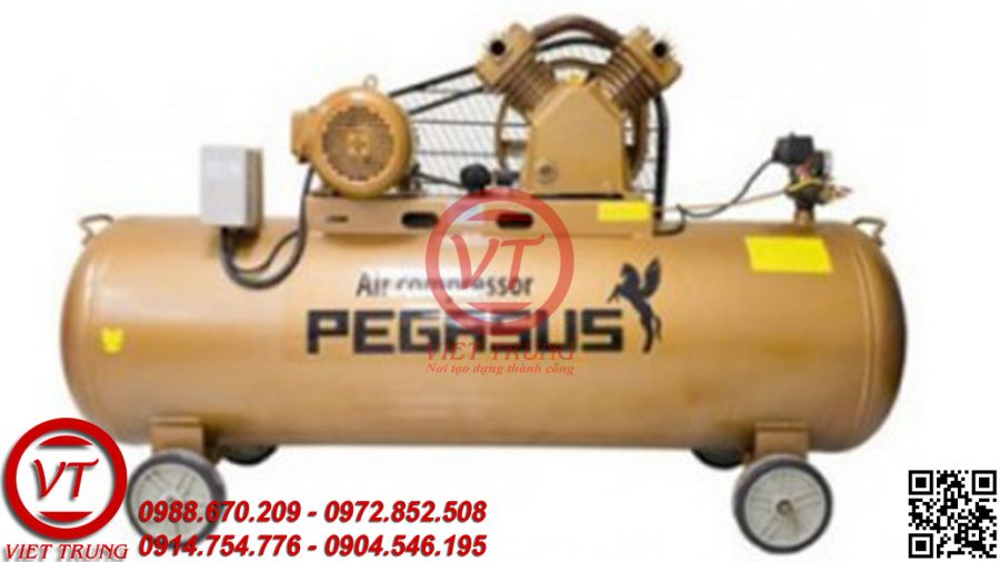 Máy nén khí dây đai Pegasus TM-W-0.36/8-120L (220V)(VT-MNK147)