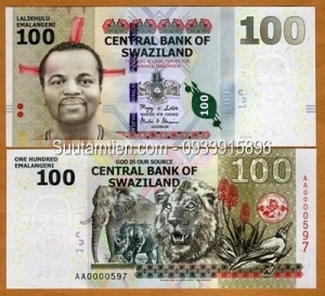 Swaziland 100 Emalangeni 2011 - hybrid