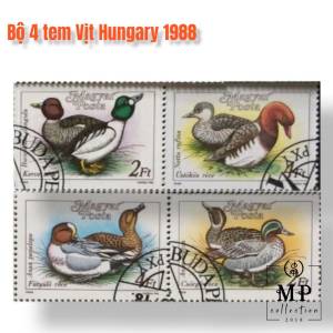 Bộ 4 tem họ Vịt Hungary 1988 rất đẹp