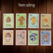 Bo-Tem-Suu-Tam-Viet-Nam-Chu-De-Cac-Loai-Nam-8-Con-Stamps