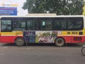 Quảng cáo trên xe buýt tại Hải Phòng làm sao cho hiệu quả?
