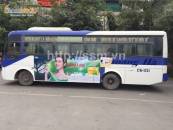 Quảng cáo trên xe buýt công cộng tại Thái Bình