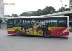 Quảng cáo leo kính xe buýt và cách nâng tầm thương hiệu tại Hà Nội