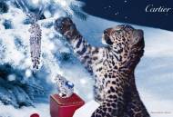 Cartier thương hiệu thời trang cao cấp chúc mừng giáng sinh