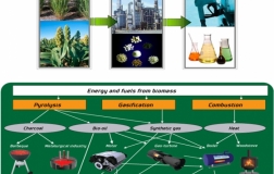 Sản xuất và sử dụng khí biogas