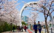 Tìm hiểu về trường Đại học Kangnam của Hàn Quốc