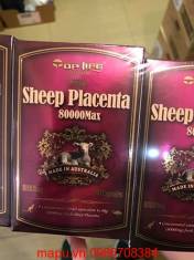 Nhau cừu hàm lượng cao Sheep placenta 80000 max Toplife