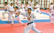 Đào tạo võ thuật suzucho karate nghệ an