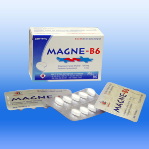 Magne - B6