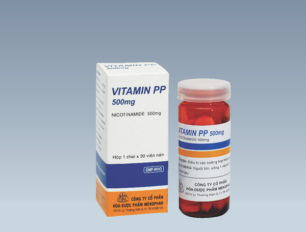 Vitamin PP 500mg(chai)