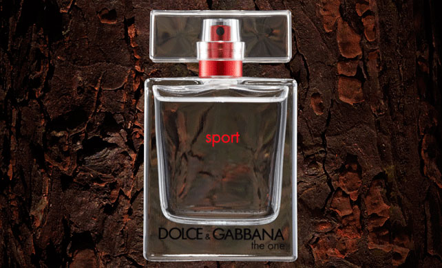 Kết quả hình ảnh cho Dolce & Gabbana The One Sport poster